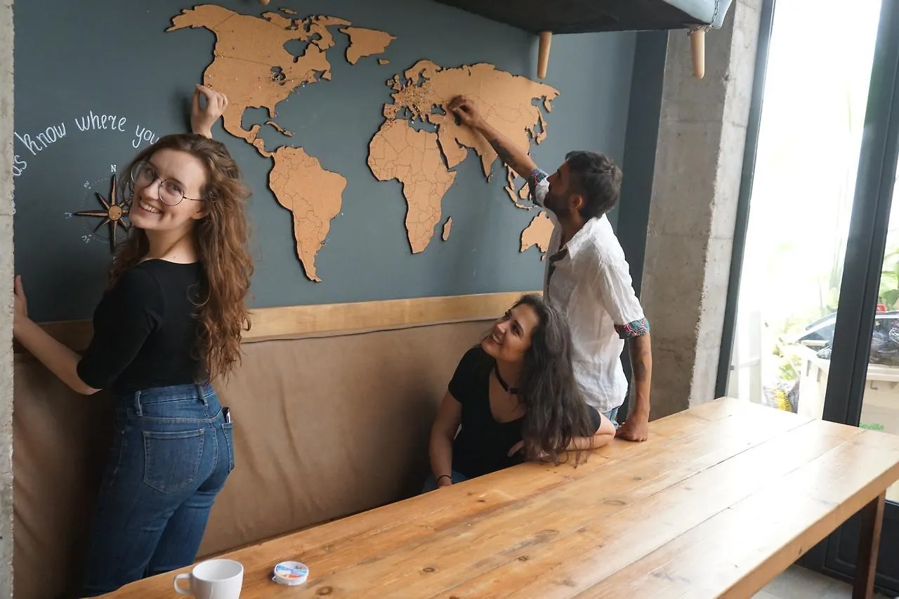 Black Swan Hostel Sevilla Seville