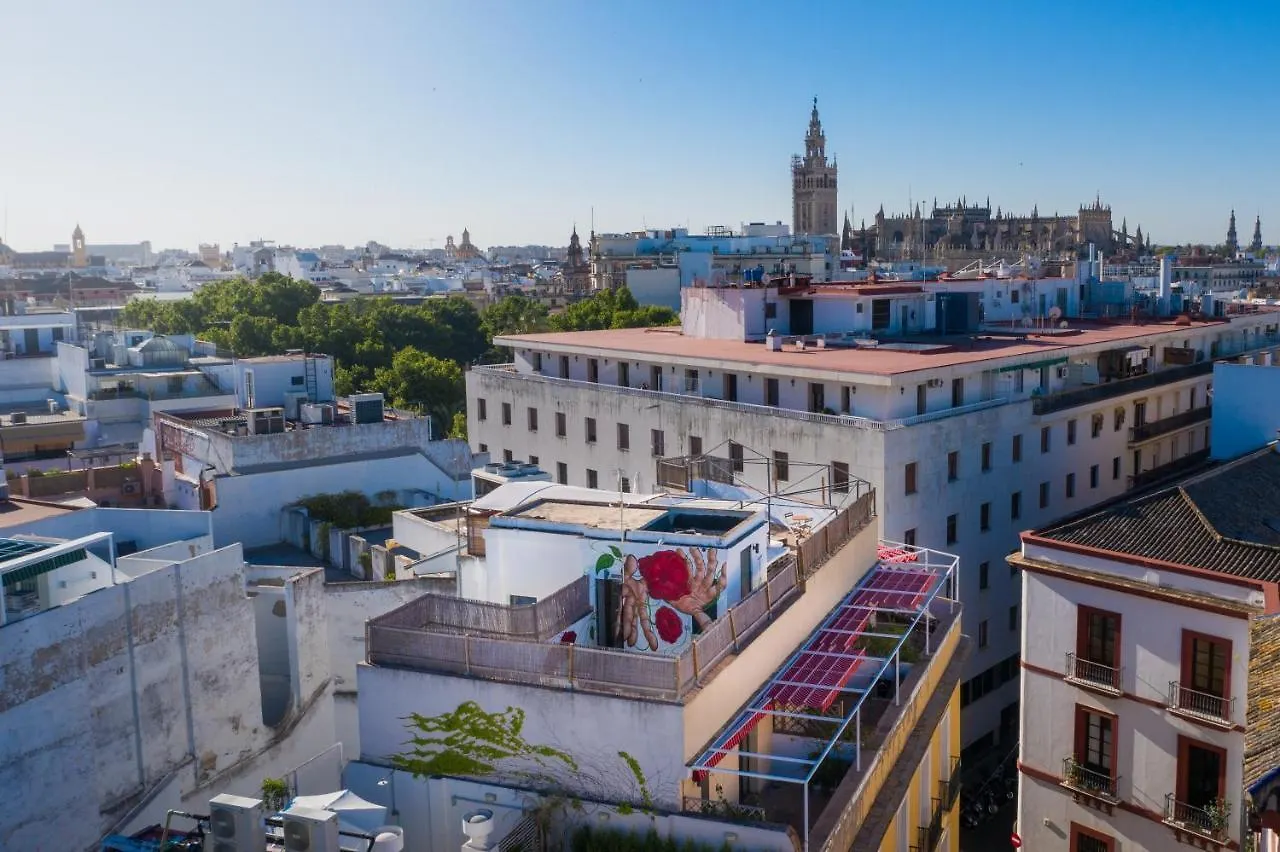 Black Swan Hostel Sevilla 0*, Seville Spain