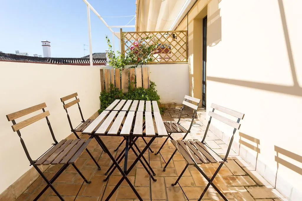 Black Swan Hostel Sevilla 0*, Seville Spain