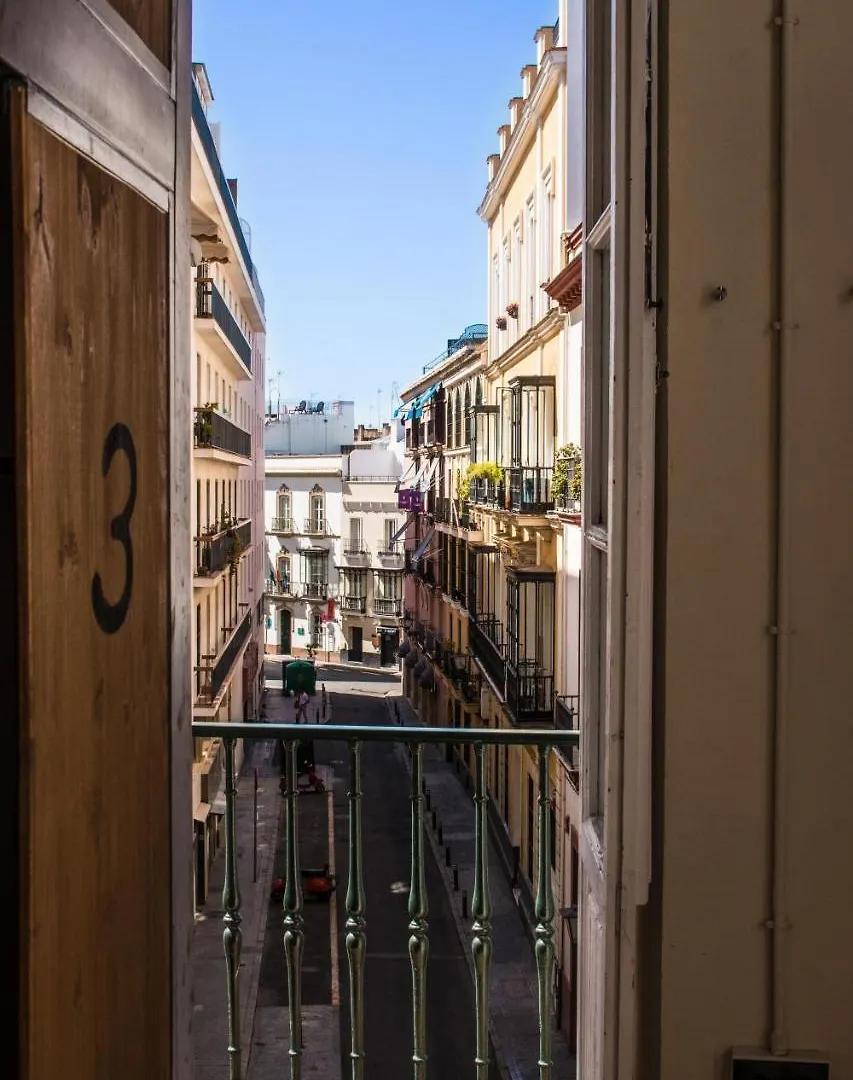 Black Swan Hostel Sevilla Spain